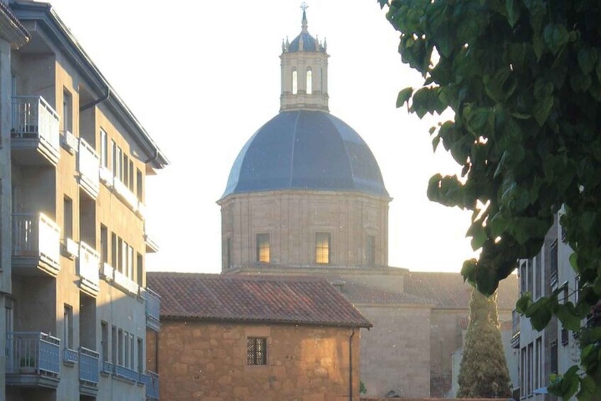 Picture 3 for Activity Salamanca: Evening Sightseeing Walking Tour