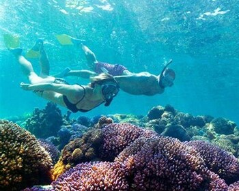Maio: Reef snorkeling