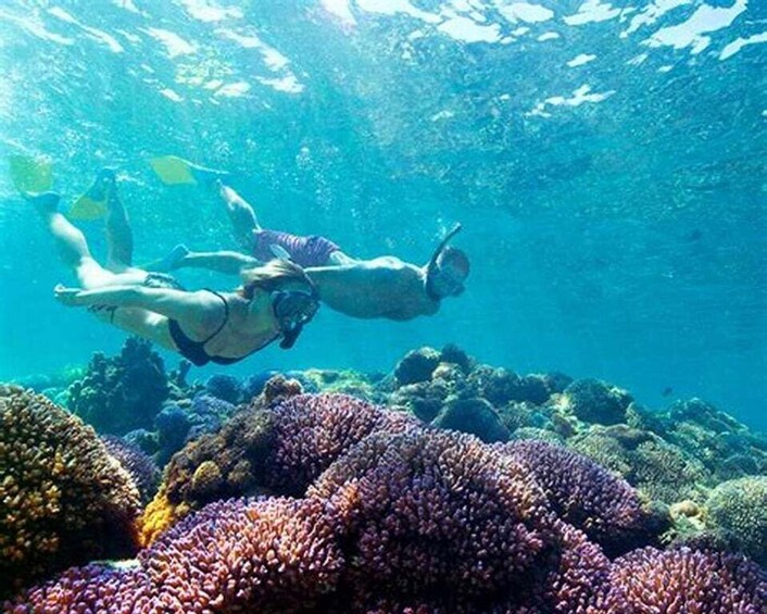 Maio: Reef snorkeling