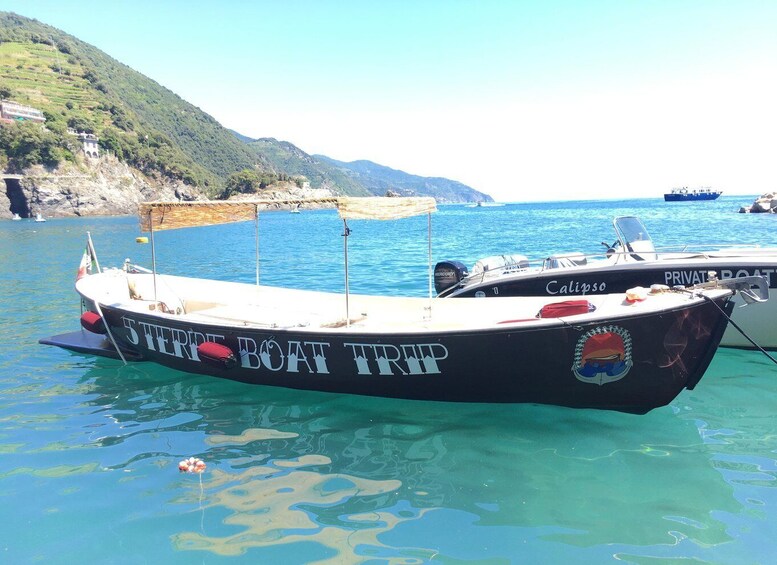 Picture 4 for Activity Portovenere and Islands tours