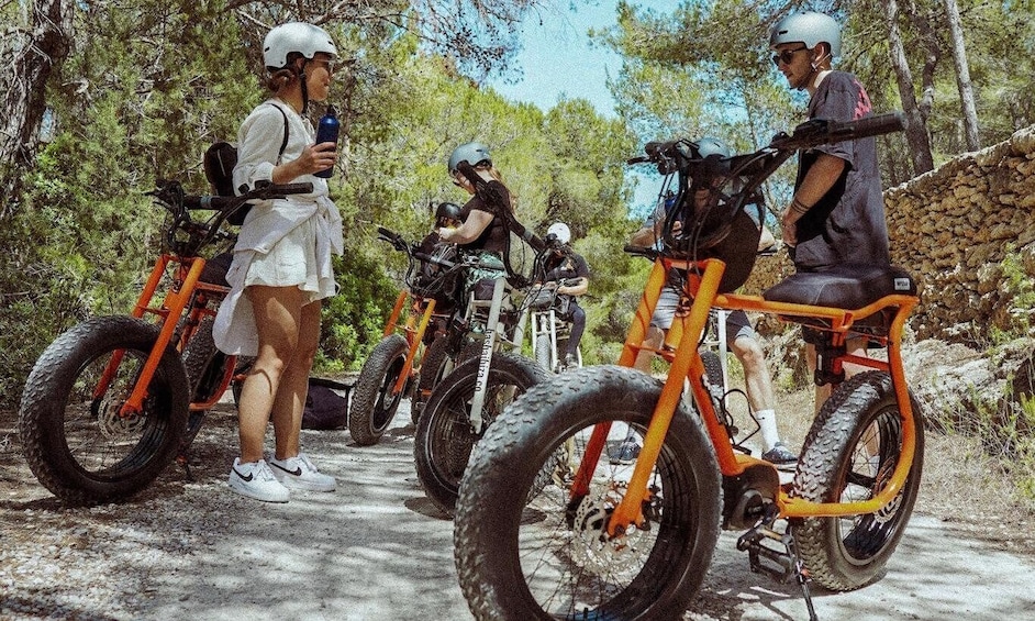 Picture 8 for Activity Ibiza: E-Bike Rental with Helmet