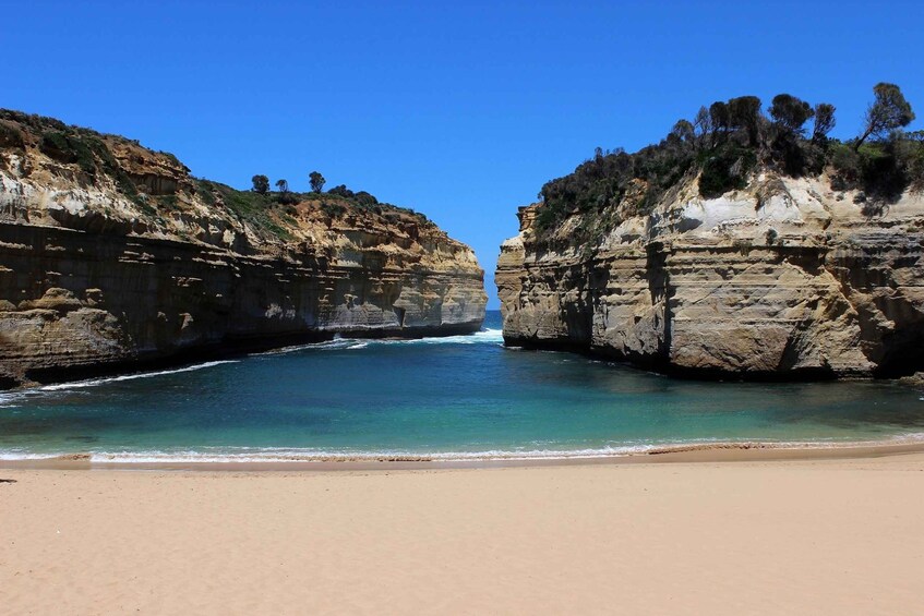 Picture 2 for Activity From Melbourne: Great Ocean Road & 12 Apostles Full-Day Tour