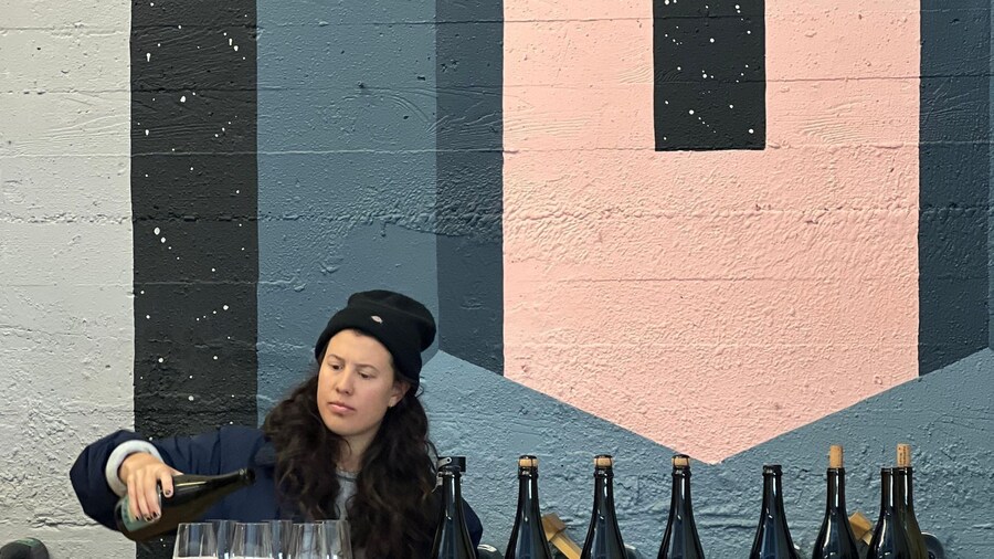 Sebastopol: Guided Wine Tasting Experience with Sommelier