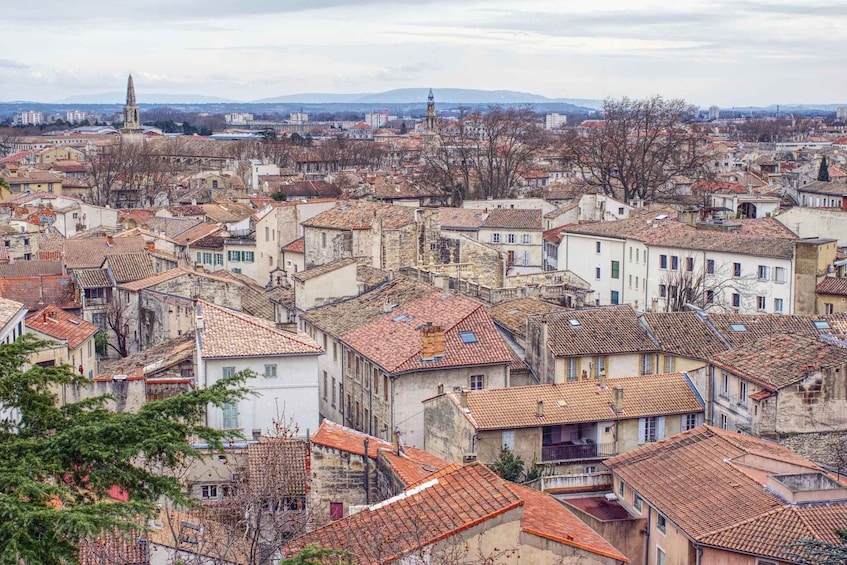 Picture 4 for Activity Avignon: Tour with Private Guide