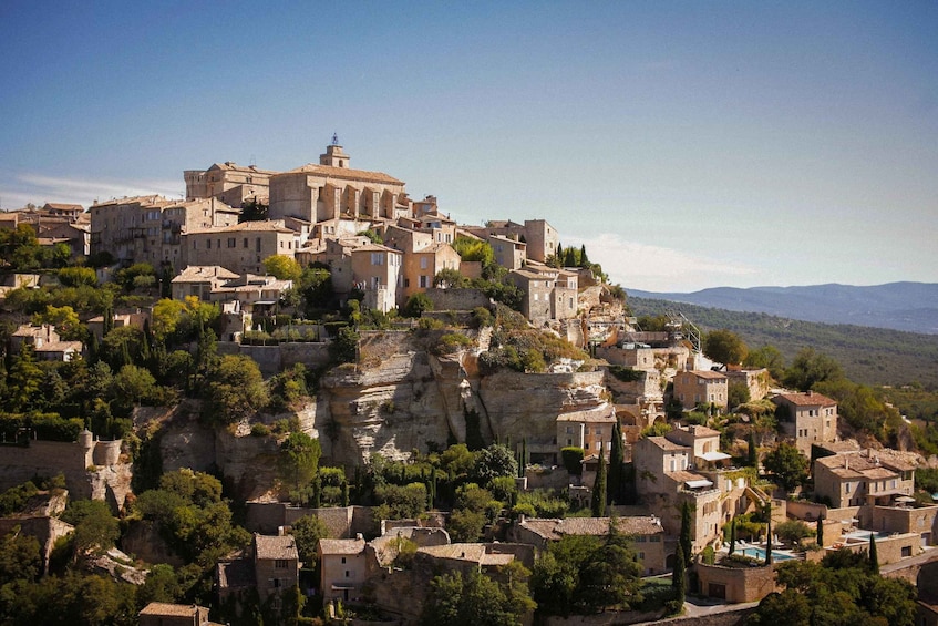 Picture 1 for Activity Avignon: Tour with Private Guide