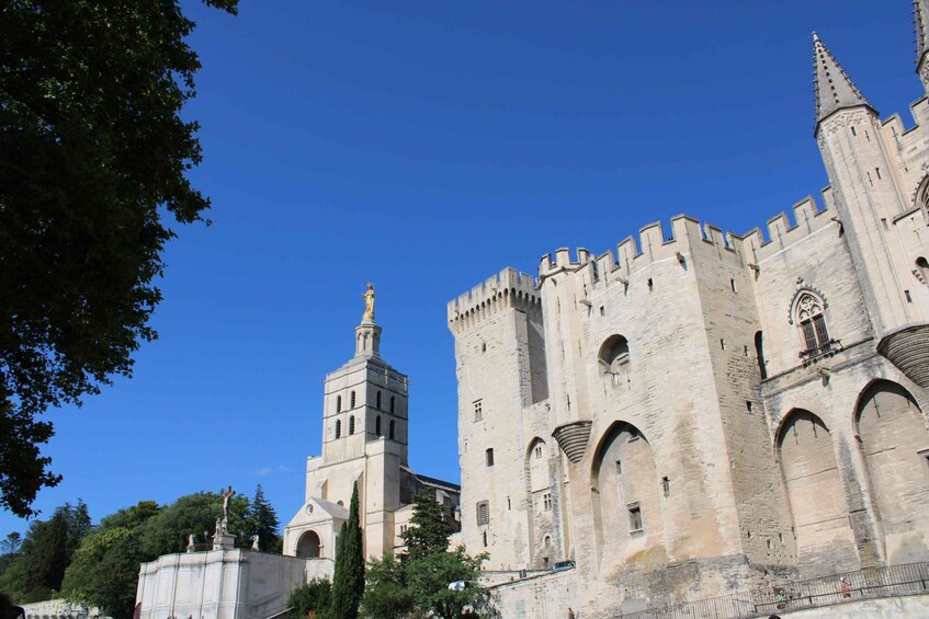 Picture 6 for Activity Avignon: Tour with Private Guide