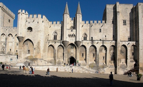 Avignon: Tour with Private Guide