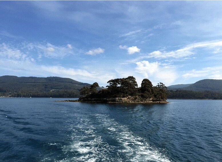 Picture 1 for Activity Cruise Ship - Port Arthur Shore Excursion - Hobart