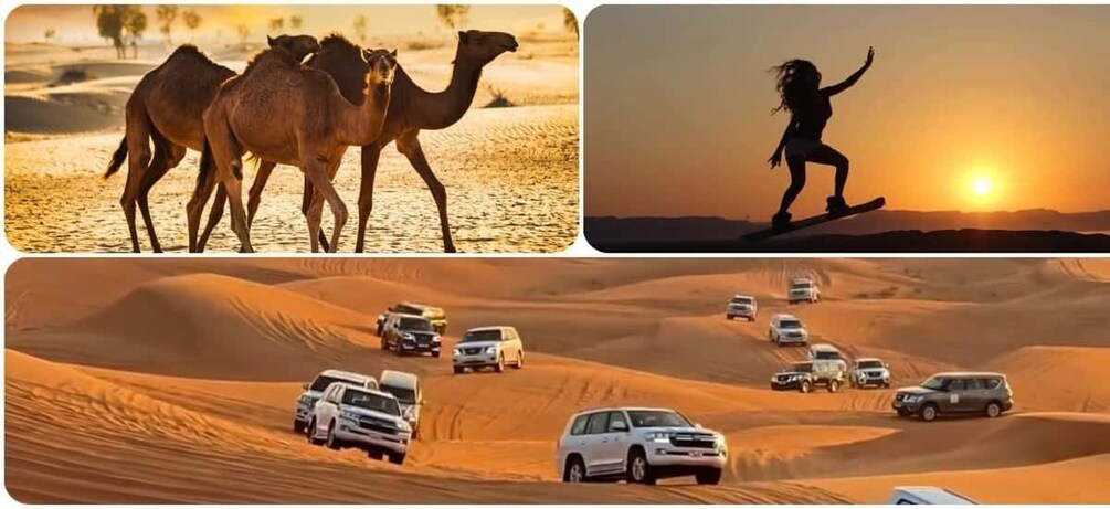 Doha: Full Day Desert Safari With BBQ Dinner