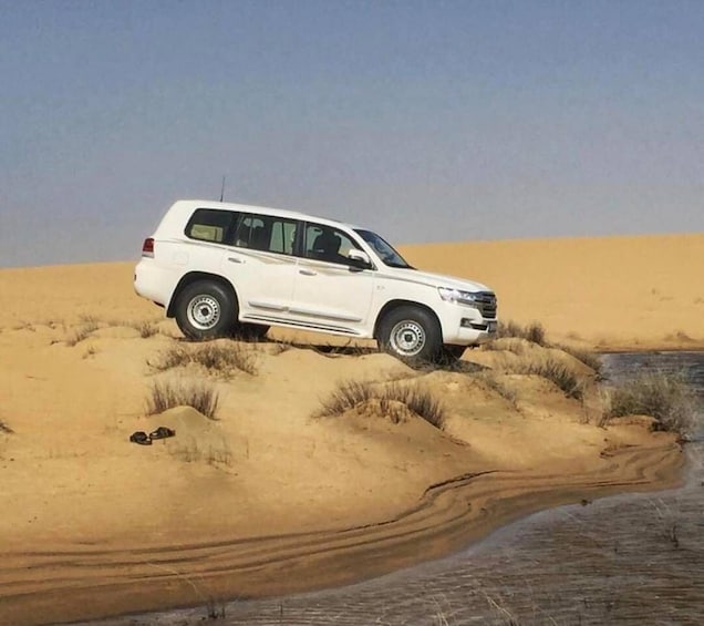 Picture 22 for Activity Doha: Full Day Desert Safari With BBQ Dinner