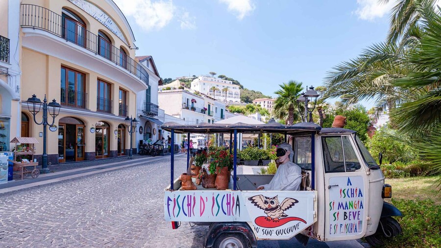 Exclusive Ischia Tour from Sorrento with Local Guide