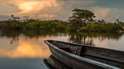 Desde Iquitos: Amazonas 4 días 3 noches