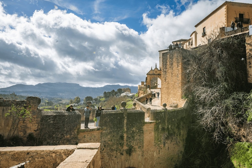 Picture 9 for Activity From Malaga: Ronda & Setenil de las Bodegas Guided Day Trip