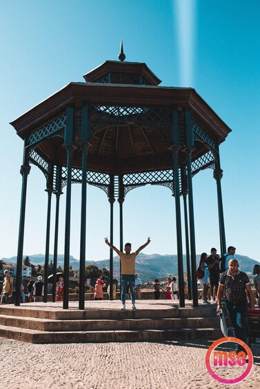 Picture 3 for Activity From Malaga: Ronda & Setenil de las Bodegas Guided Day Trip