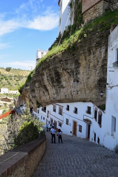 Picture 15 for Activity From Malaga: Ronda & Setenil de las Bodegas Guided Day Trip