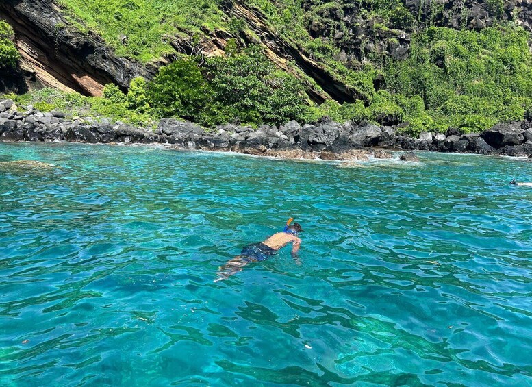 Picture 6 for Activity Snorkeling : Coin de Mire en speedboat Nord île Maurice