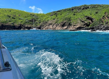 Snorkeling : Coin de Mire en speedboat Nord île Maurice