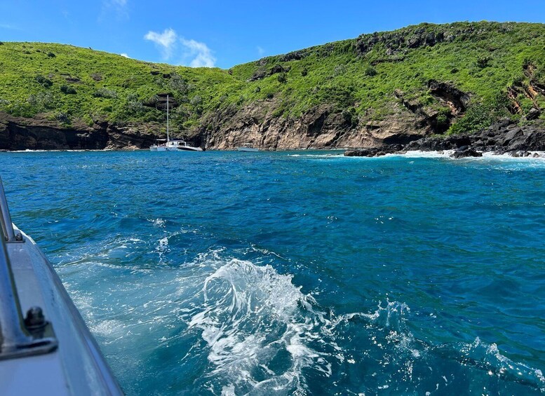 Snorkeling : Coin de Mire en speedboat Nord île Maurice