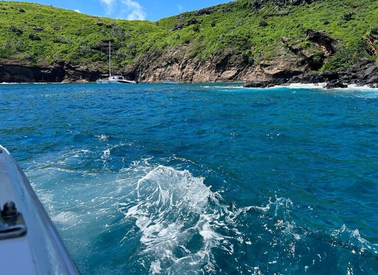 Snorkeling : Coin de Mire en speedboat Nord île Maurice