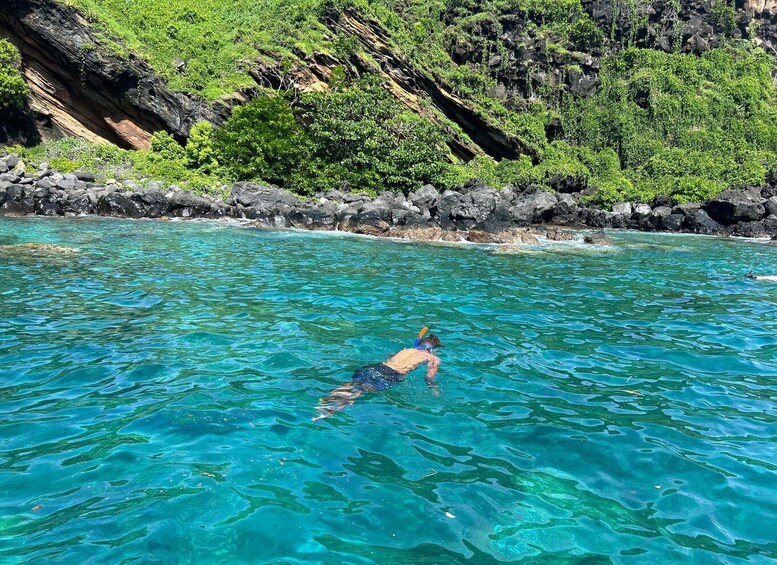 Picture 6 for Activity Snorkeling : Coin de Mire en speedboat Nord île Maurice