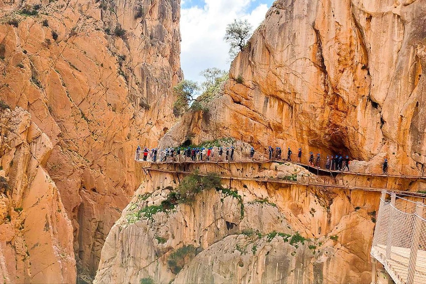 Picture 1 for Activity Málaga or Rincón de la Victoria: Caminito del Rey Day Trip