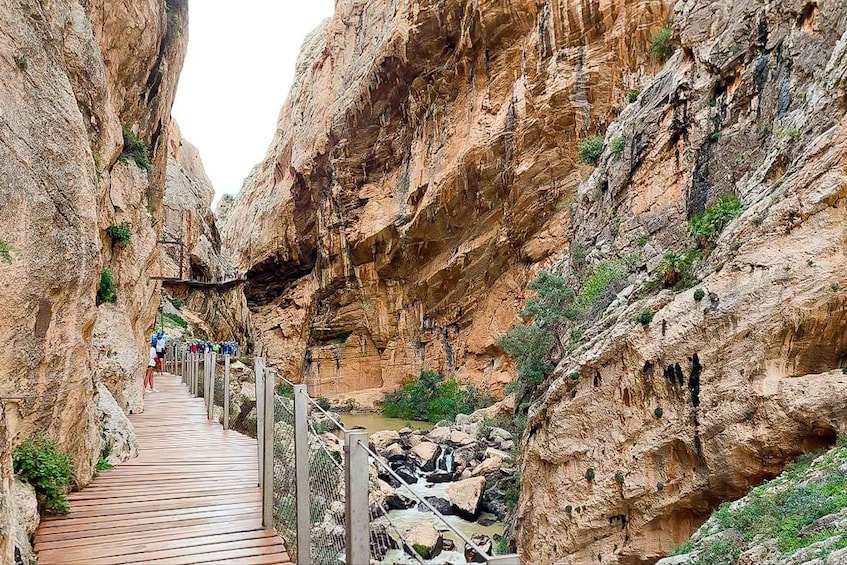 Picture 4 for Activity Málaga or Rincón de la Victoria: Caminito del Rey Day Trip