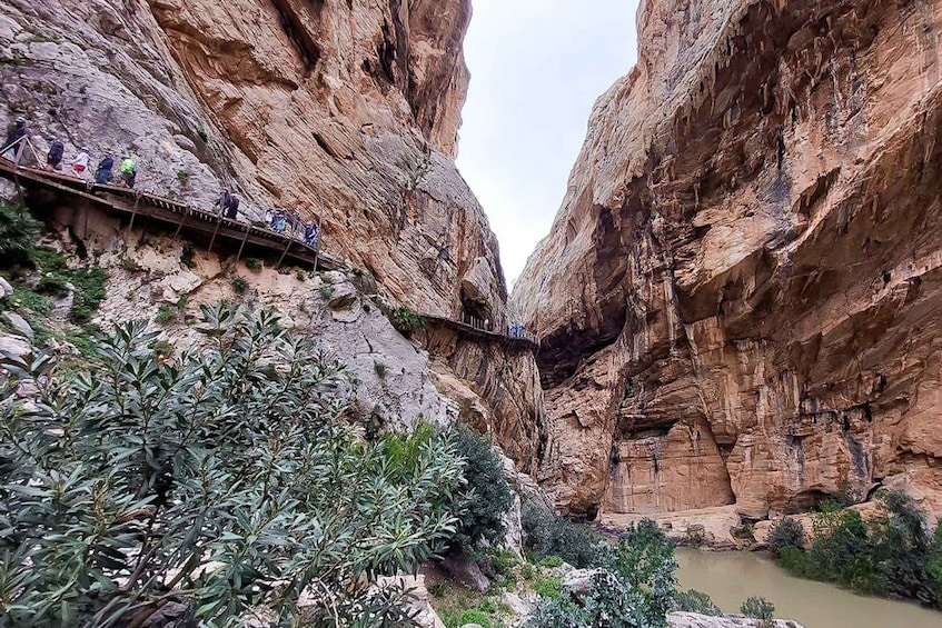 Picture 5 for Activity Málaga or Rincón de la Victoria: Caminito del Rey Day Trip