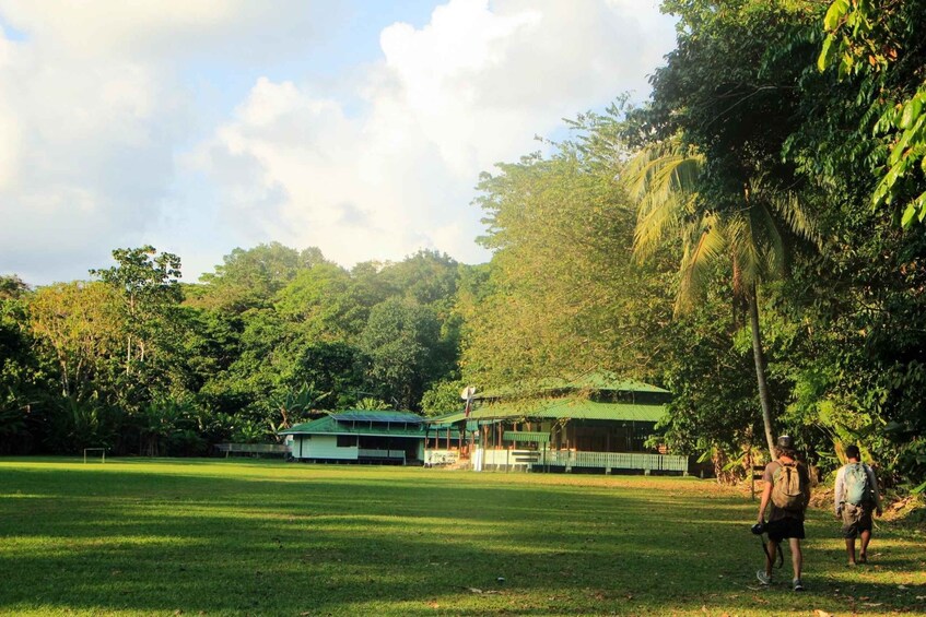 Picture 8 for Activity Corcovado National Park - Sirena Station - 1 night stay