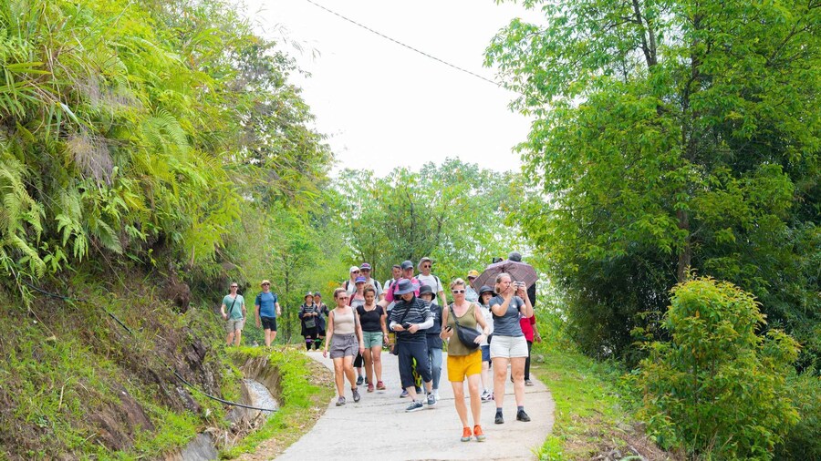 Picture 5 for Activity From Sapa: Guided Full-Day Trekking with Lunch and Drop-Off