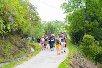 From Sapa: Guided Full-Day Trekking with Lunch and Drop-Off
