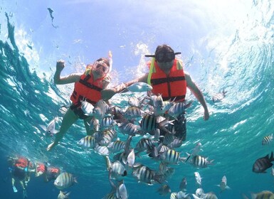 Cozumel: Cozumel: Clear Boat & Snorkel Tour