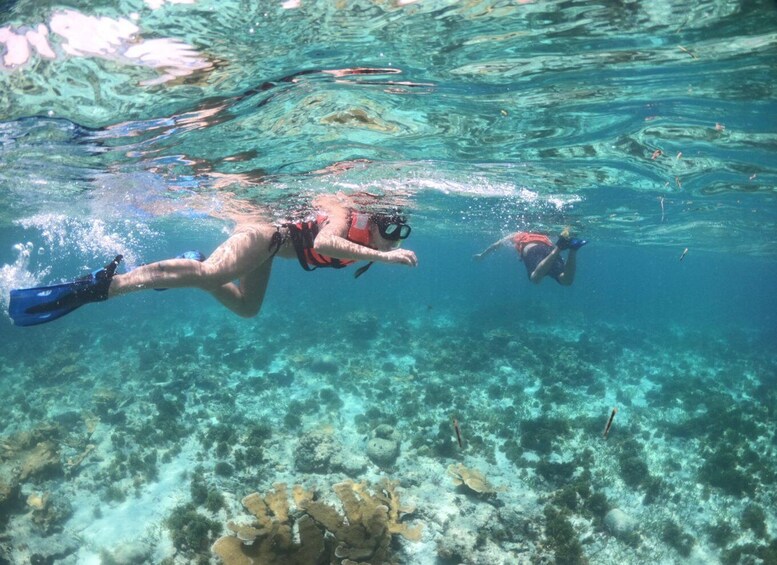 Picture 6 for Activity Cozumel: Clear Boat & Snorkel Tour