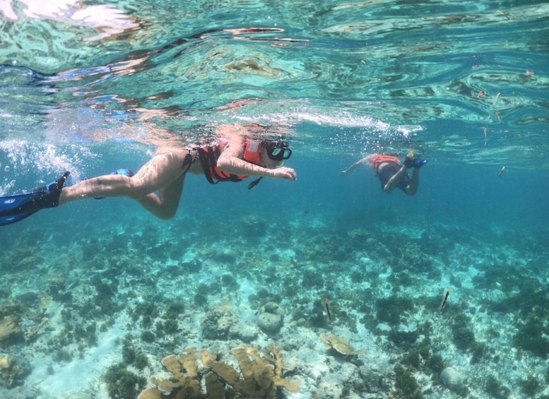 Picture 6 for Activity Cozumel: Clear Boat & Snorkel Tour