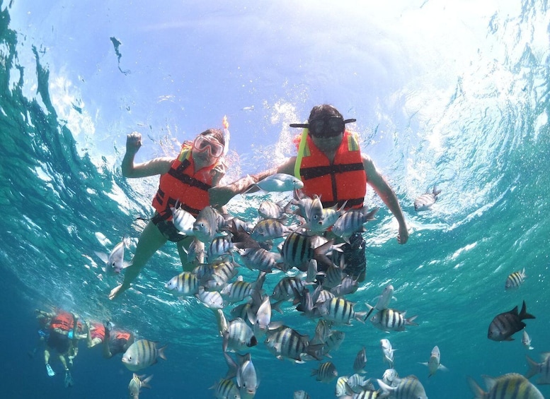 Cozumel: Clear Boat & Snorkel Tour