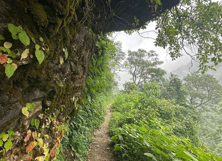 Sunrise Day Hike in Rishikesh