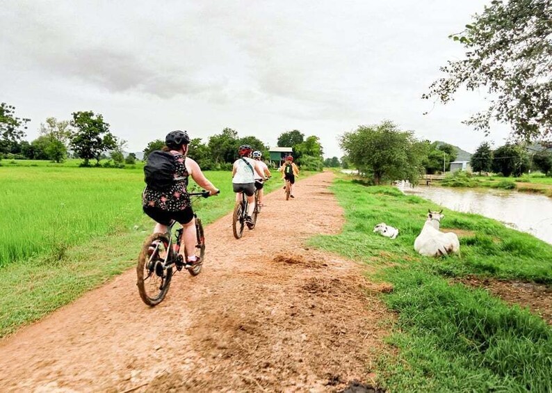 Picture 1 for Activity Half-day Cycling: Explore Battambang Countryside & Sunset