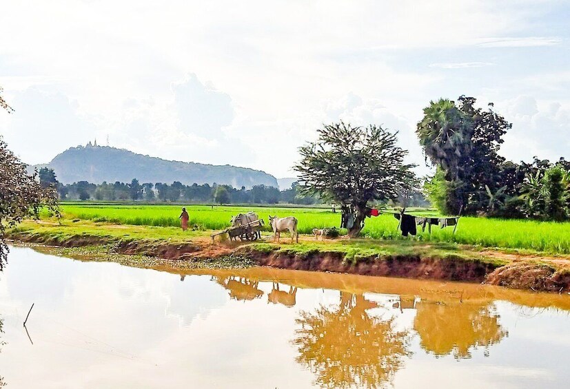 Picture 4 for Activity Half-day Cycling: Explore Battambang Countryside & Sunset