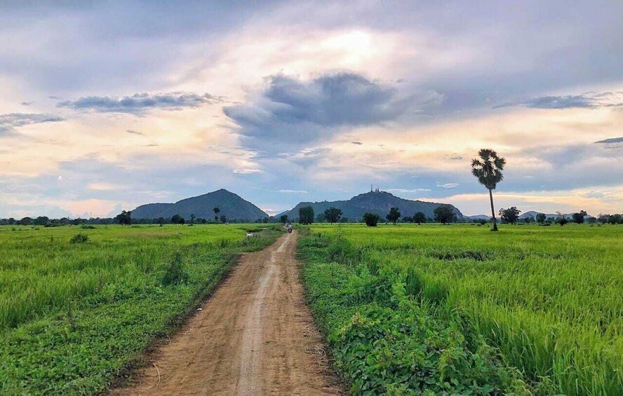 Picture 5 for Activity Half-day Cycling: Explore Battambang Countryside & Sunset