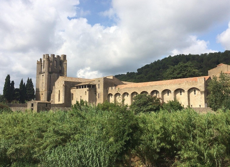 Picture 5 for Activity Lagrasse Village & Fontfroide Abbey, Cathar Country.
