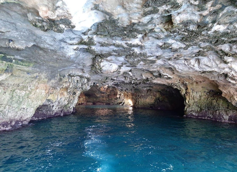 Picture 4 for Activity Monopoli: 2.5-hour Guided Boat Tour toPolignano a Mare Caves