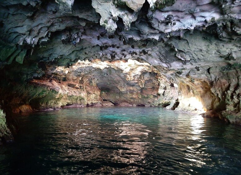 Picture 9 for Activity Monopoli: 2.5-hour Guided Boat Tour toPolignano a Mare Caves