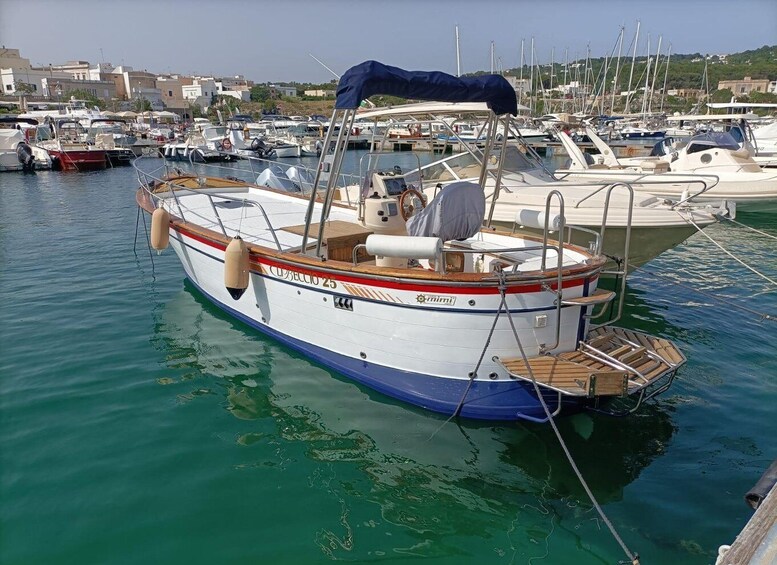 Picture 2 for Activity Monopoli: 2.5-hour Guided Boat Tour toPolignano a Mare Caves