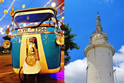 All-inclusive Ambuluwawa Tower & Kandy City Tour by TukTuk