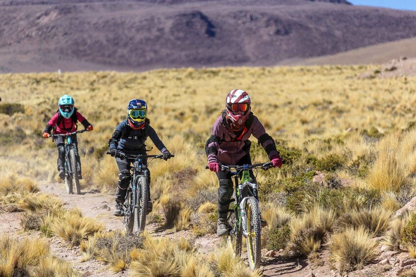 Picture 9 for Activity San Pedro de Atacama: Volcano Downhill Bike Tour