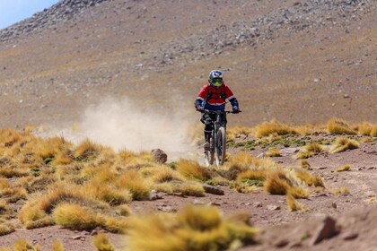 San Pedro de Atacama: recorrido en bicicleta cuesta abajo por el volcán