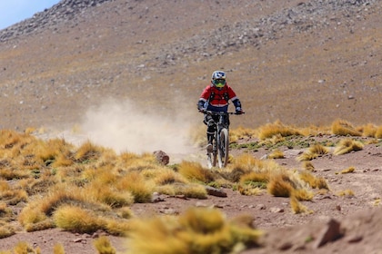 San Pedro de Atacama: Cykeltur nedför vulkanen