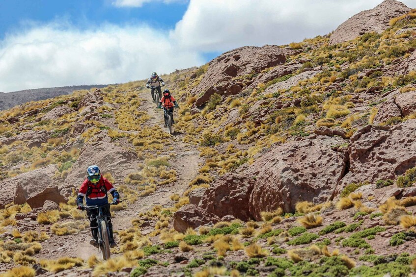 Picture 8 for Activity San Pedro de Atacama: Volcano Downhill Bike Tour