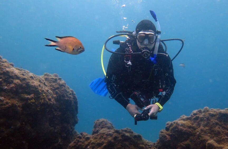 Picture 1 for Activity Puerto del Carmen: Guided Scuba Dive (certified only)