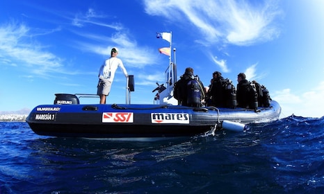 Puerto del Carmen : Plongée guidée (certifié seulement)