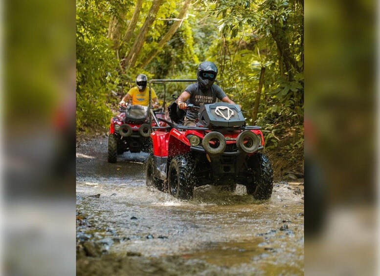 Picture 3 for Activity Carabalí Rainforest Park: Guided ATV Adventure Tour